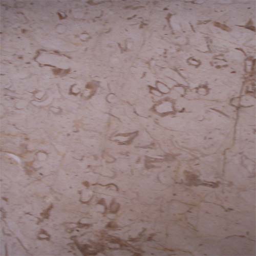 Crema novita