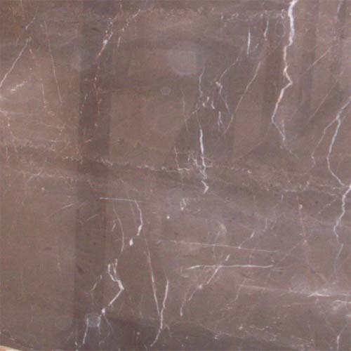 Famous gray